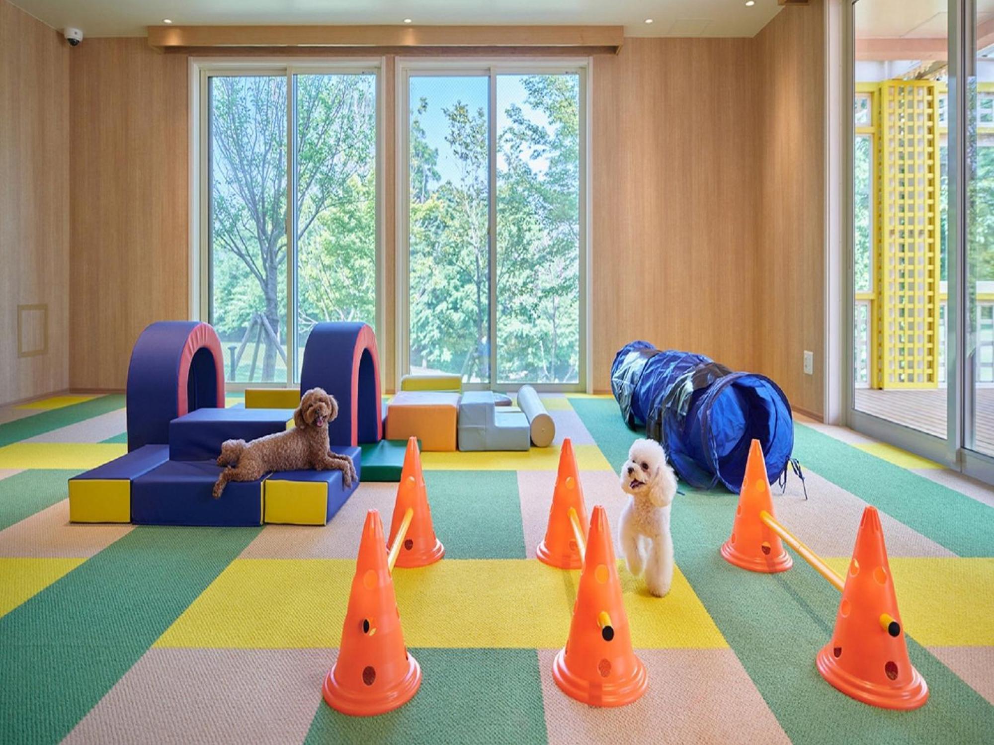 Koyaru-No-Sato Doggys Island Hotel Yachimata Eksteriør billede