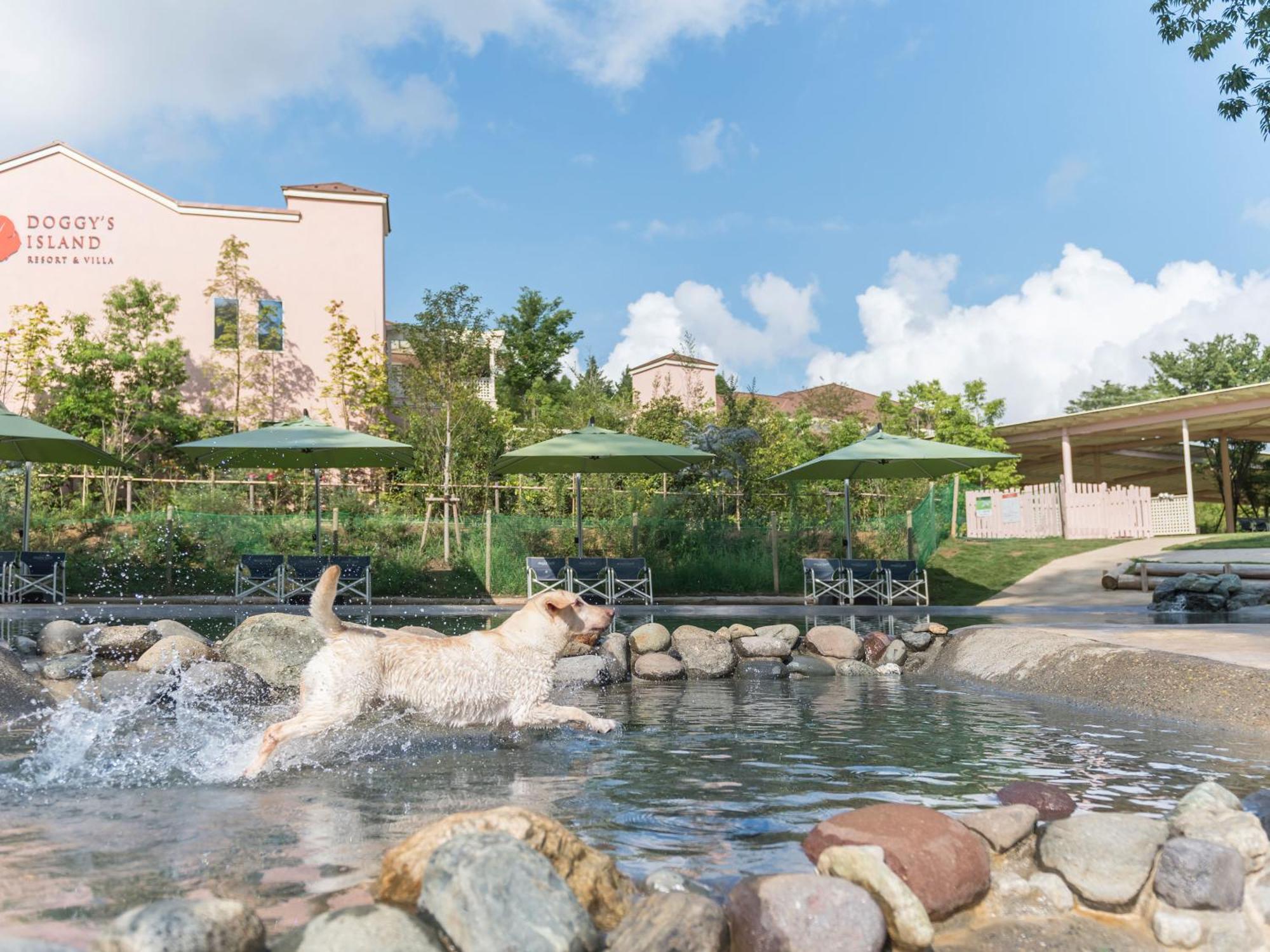 Koyaru-No-Sato Doggys Island Hotel Yachimata Eksteriør billede