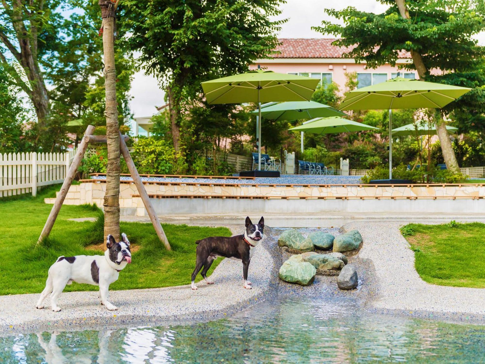 Koyaru-No-Sato Doggys Island Hotel Yachimata Eksteriør billede