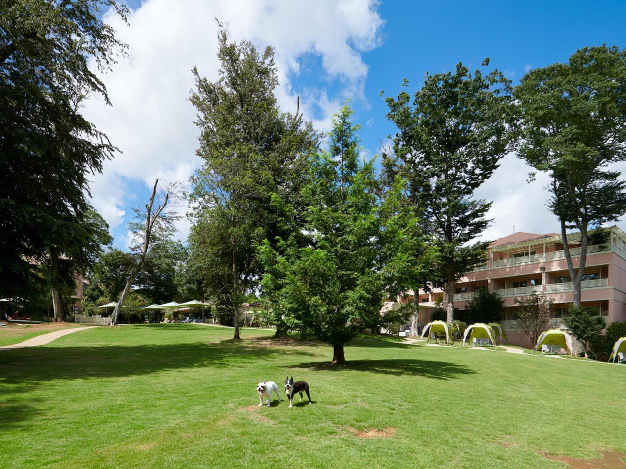 Koyaru-No-Sato Doggys Island Hotel Yachimata Eksteriør billede